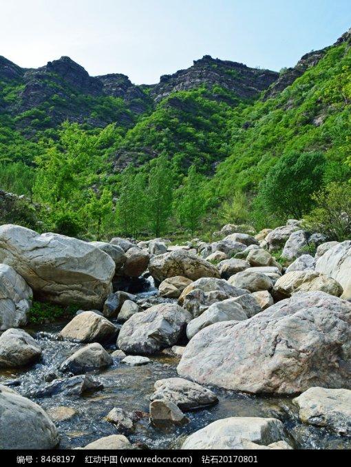 平南“荟味龚州”区域公用品牌发布会举办